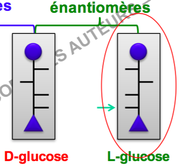 Capture d’écran 2016-10-03 à 13.09.32.png