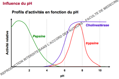 Capture d’écran 2016-10-07 à 11.21.42.png