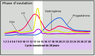 Capture d’écran 2016-10-07 à 14.35.56.png