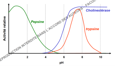 Capture d’écran 2016-10-11 à 13.27.08.png