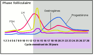 Capture d’écran 2016-10-07 à 14.35.48.png