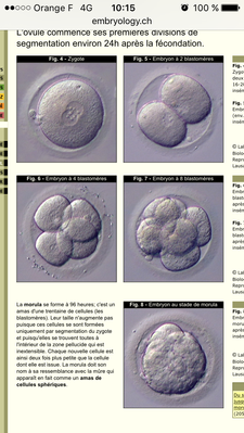 image.png (848.19 Kio) Vu 192 fois image.png