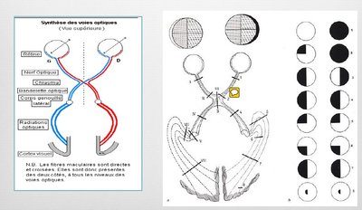 Capture d’écran 2016-10-13 à 14.03.14.jpg