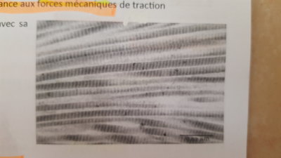 20161015_112710.jpg (3.45 Mio) Vu 287 fois 20161015_112710.jpg