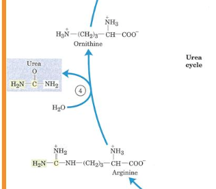 Capture d’écran 2016-10-17 à 17.52.41.png