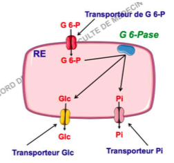 Capture d’écran 2016-10-18 à 14.58.12.png