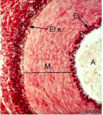 Capture d’écran 2016-10-19 à 12.19.34.png