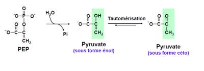 Capture d’écran 2016-10-19 à 18.43.00.png