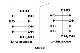 énantiomères fischer.png