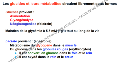 Capture d’écran 2016-10-20 à 15.06.29.png