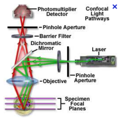 Capture d’écran 2016-10-21 à 04.25.25.png