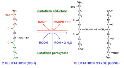Capture d’écran 2016-10-22 à 14.16.59.png