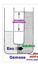 Capture d’écran 2016-10-26 à 10.19.34.png