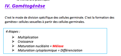 Capture d’écran 2016-10-27 à 16.08.37.png