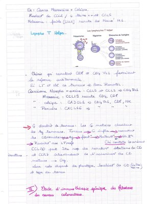 Avril Mai 2010 002.jpg