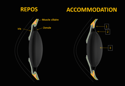 Capture d’écran 2016-10-29 à 11.27.31.png