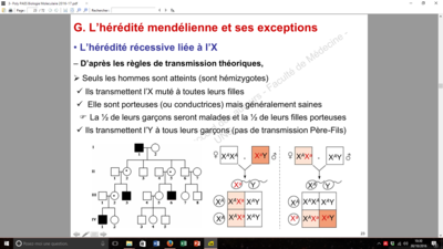 Capture d’écran (51).png