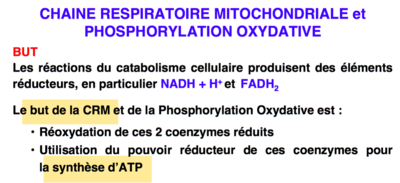 Capture d’écran 2016-10-30 à 12.20.40.png