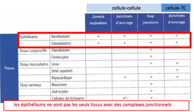 Capture d’écran 2016-11-01 à 11.22.35.png