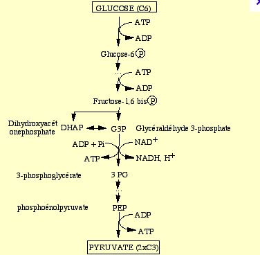 Capture d’écran 2016-11-01 à 18.28.27.png