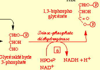 Capture d’écran 2016-11-01 à 21.39.09.png