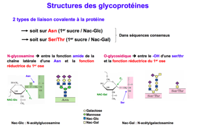 Capture d’écran 2016-11-03 à 20.00.23.png