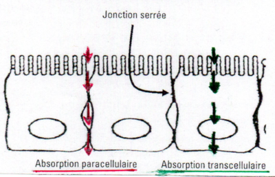 Capture d'écran 2016-11-04 11.23.58.png