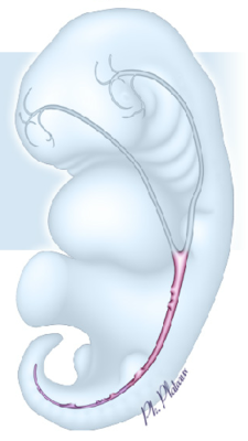 Screen Shot 2016-11-04 at 9.26.48 AM.png