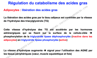 Capture d’écran 2016-11-04 à 11.59.42.png