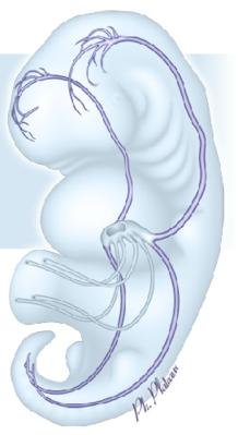 Screen Shot 2016-11-04 at 12.01.48 PM.png