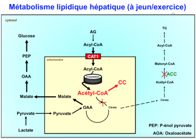 Capture d’écran 2016-11-04 à 13.08.30.png