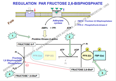 Capture d’écran 2016-11-05 à 15.25.38.png