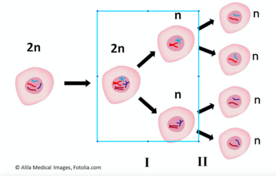 Capture d’écran 2016-11-06 à 11.09.06.png