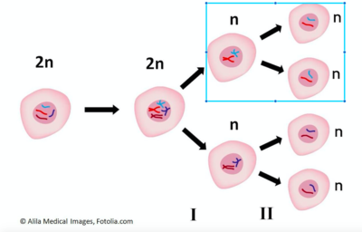 Capture d’écran 2016-11-06 à 11.09.26.png