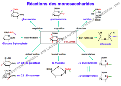 Capture d’écran 2016-11-08 à 13.34.19.png