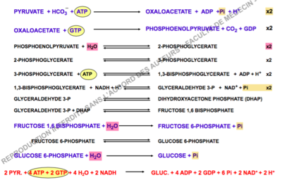 Capture d’écran 2016-11-09 à 20.12.06.png