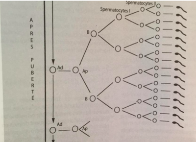 Capture d’écran 2016-11-10 à 18.24.04.png