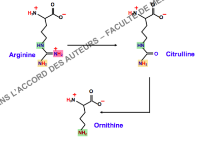 Capture d’écran 2016-11-11 à 01.49.22.png