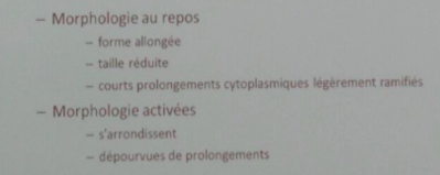 Capture d’écran 2016-11-13 à 13.30.04.png