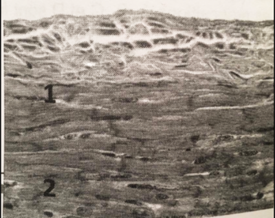 Capture d’écran 2016-11-14 à 11.27.11.png