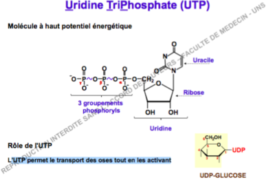 Capture d’écran 2016-11-15 à 22.03.56.png