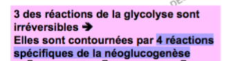 Capture d’écran 2016-11-15 à 22.06.46.png