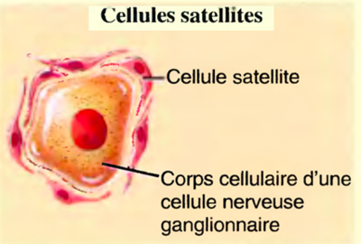 Capture d’écran 2016-11-16 à 19.32.41.png