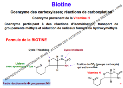 Capture d’écran 2016-11-17 à 12.21.11.png
