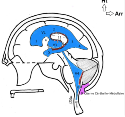 Capture d’écran 2016-11-18 à 18.36.29.png