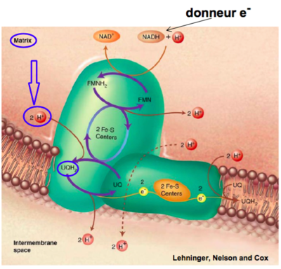 Capture d’écran 2016-11-19 à 07.39.07.png