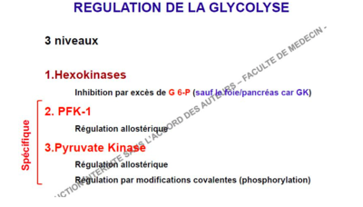 Capture d’écran 2016-11-19 à 07.44.36.png