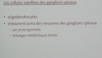 Capture d’écran 2016-11-19 à 18.58.19.png
