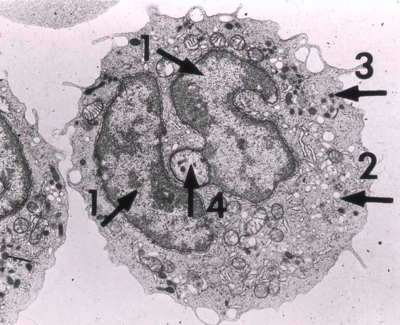 Capture d’écran 2016-11-20 à 10.25.45.png