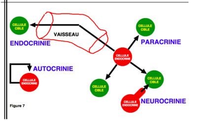 Capture d’écran 2016-11-20 à 19.50.17.png